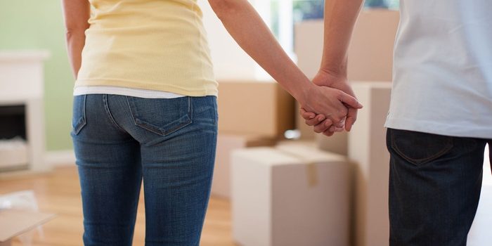 Qualities That Make the Best Widmer Transporte