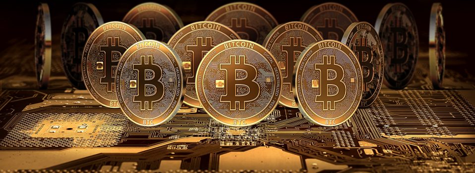 bitcoin wallet