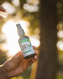 CBD Oil