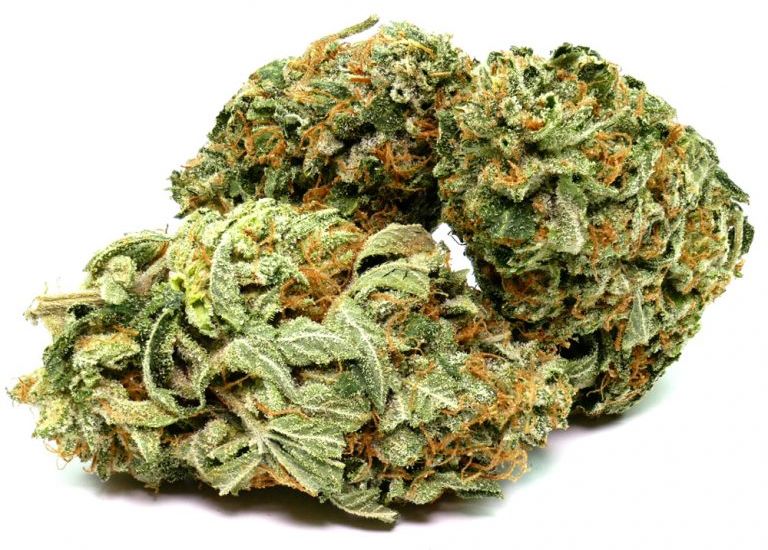 Shop And Order Weed: Get Discounts And Special Gifts