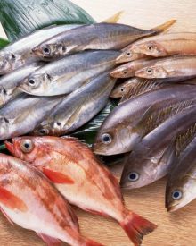 fresh fish supplier singapore