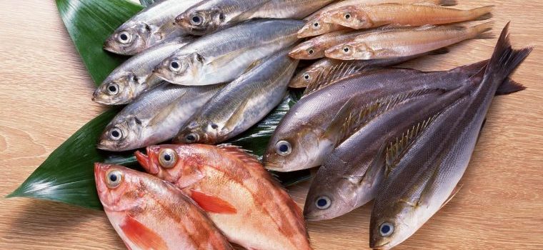 fresh fish supplier singapore
