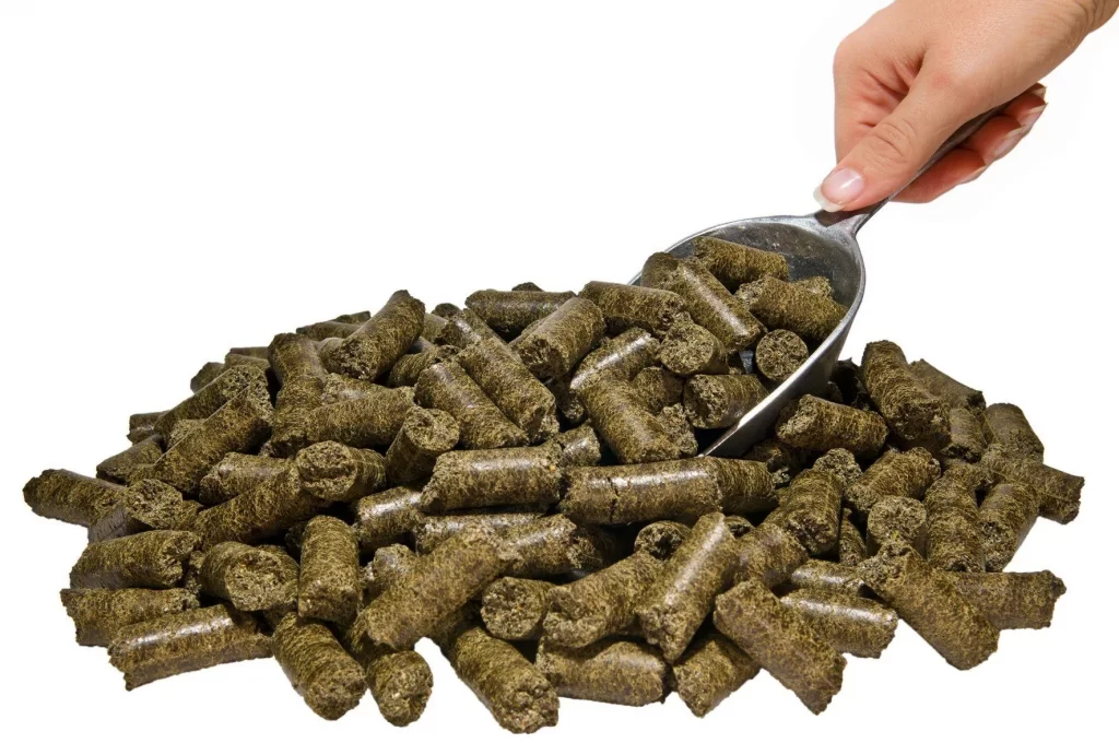 CBD horse pellets