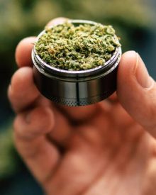 CBD flower