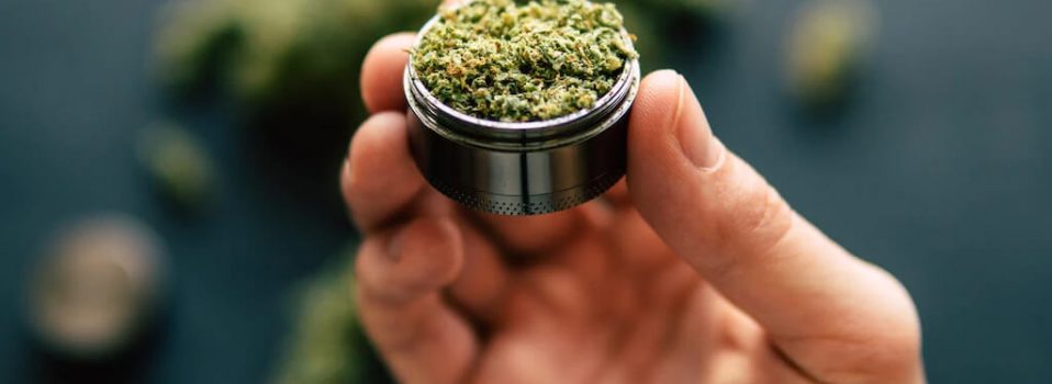CBD flower