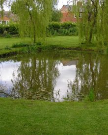 garden design