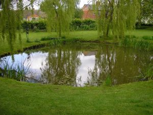 Check the UV technology benefits for your pond