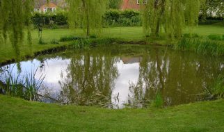 garden design