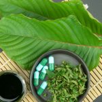 From Stress Relief to Energy Boost: Harnessing the Power of White Kratom for Wellness