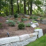 Transforming Sidney: Top Trends in Landscaping and Irrigation for Your Home