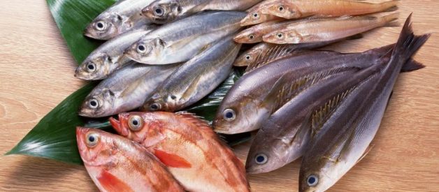 fresh fish supplier singapore