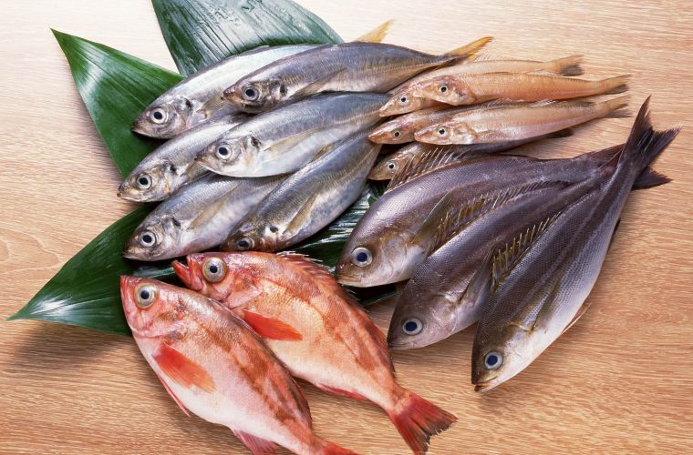 fresh fish supplier singapore