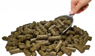 CBD horse pellets