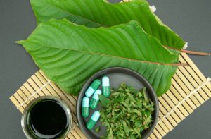 From Stress Relief to Energy Boost: Harnessing the Power of White Kratom for Wellness